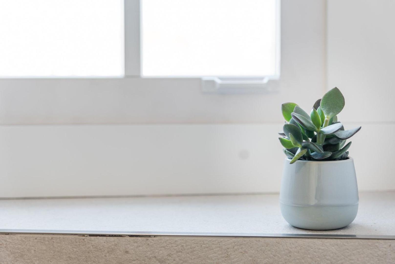 Guestready - Chic Retreat In The Heart Of Porto Apartment ภายนอก รูปภาพ